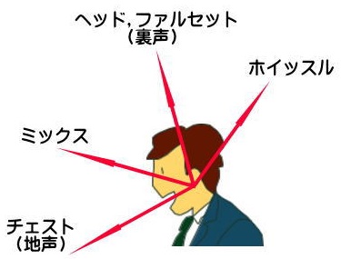 ホイッスルボイスとは 超高音の出し方や練習方法 からおけまりも