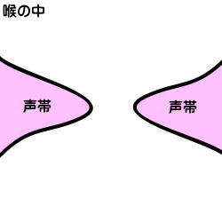 初心者向けミックスボイスの出し方 裏声から出す感覚やコツまとめ からおけまりも