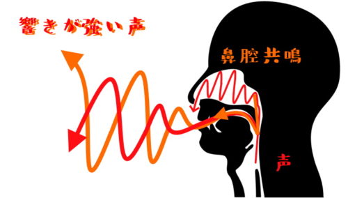 鼻腔共鳴した声のイメージ